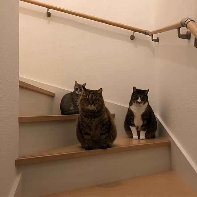 kuu511さんの実例写真