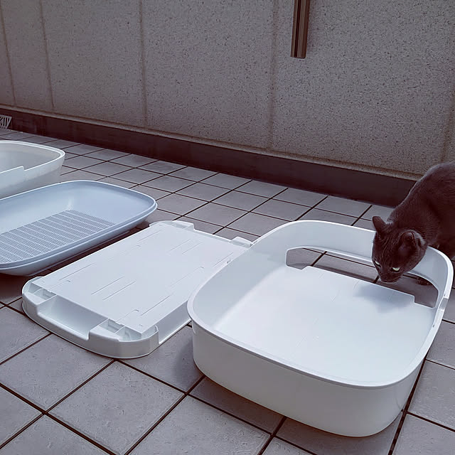 kuni92さんの実例写真