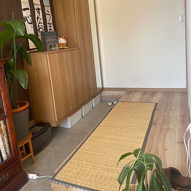 kotaroさんの実例写真