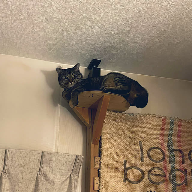 Mさんの部屋