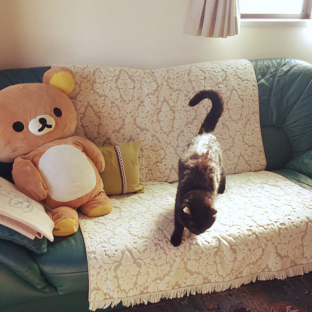 soraさんの実例写真