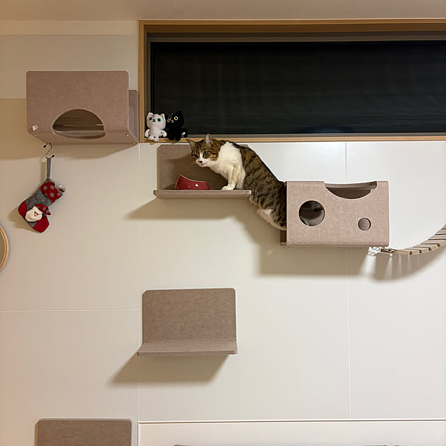 tiroさんの実例写真