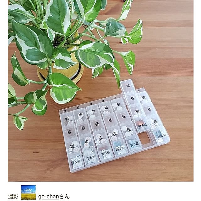 go-chanさんの実例写真