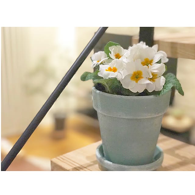shiiimay114さんの実例写真