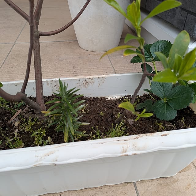 minnieさんの部屋