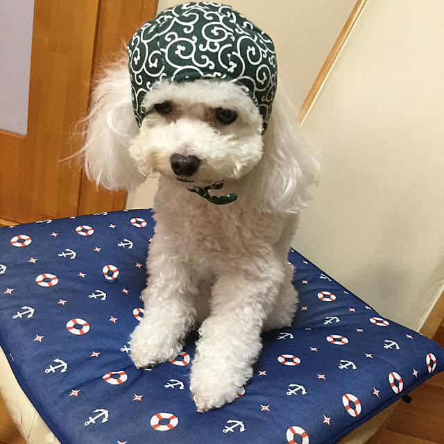 kakoさんの実例写真