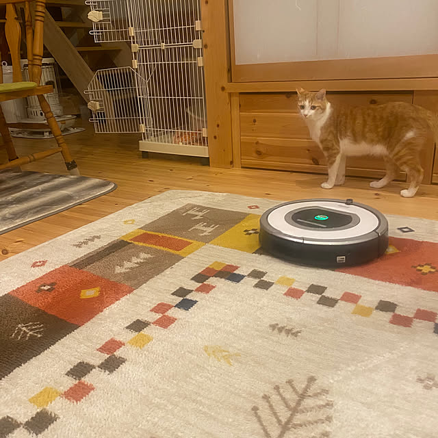 senbei.sakuramochiさんの実例写真