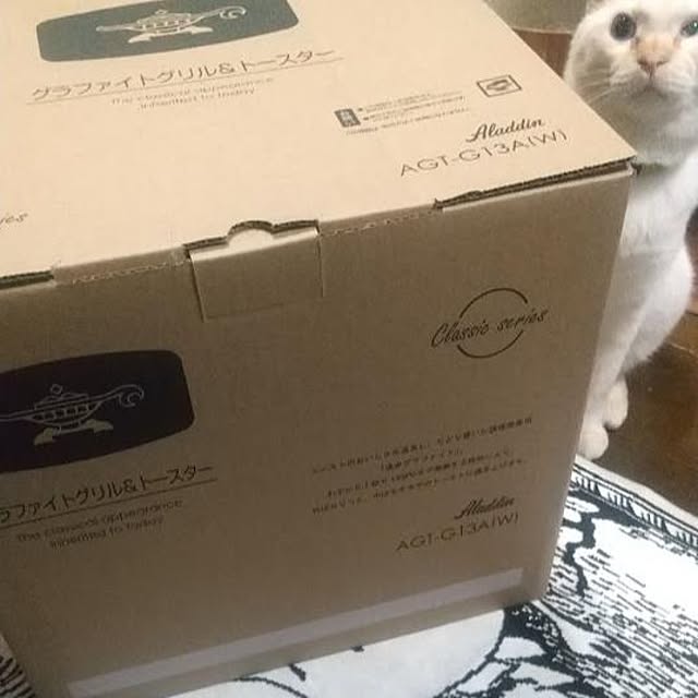 Yさんの実例写真
