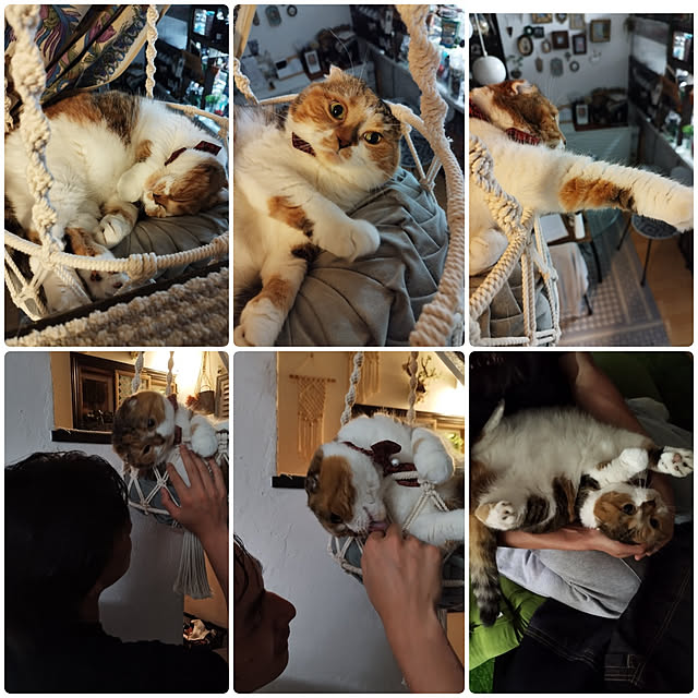 hiro3さんの実例写真