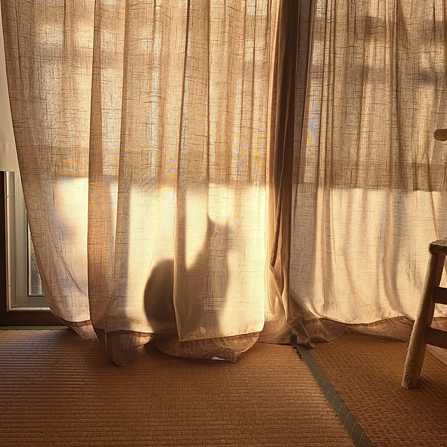 shinoさんの部屋