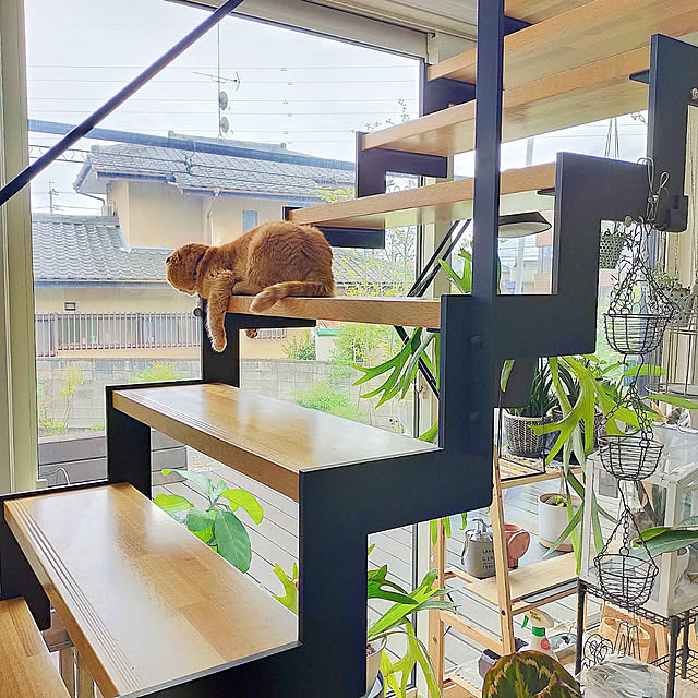 hm_myhomeさんの実例写真