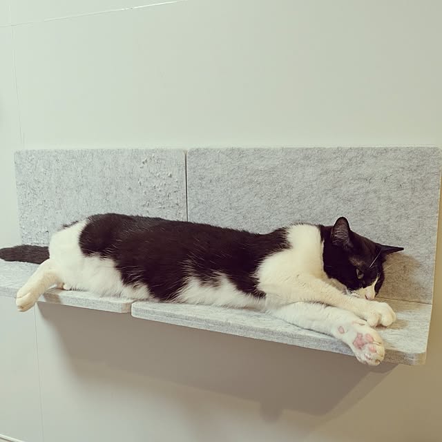 hihaさんの部屋
