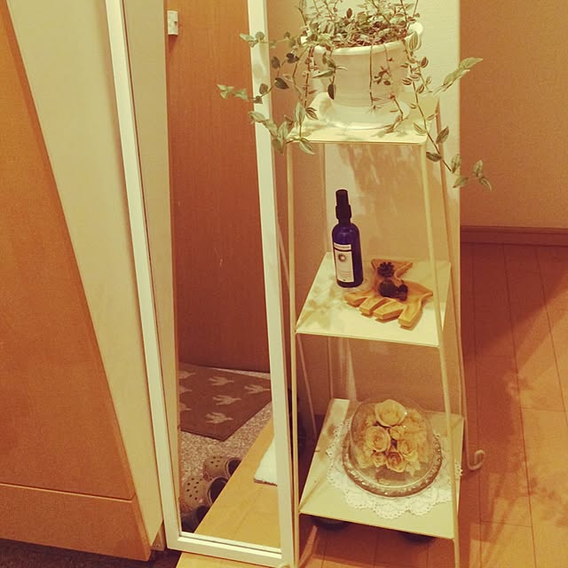 noriさんの実例写真