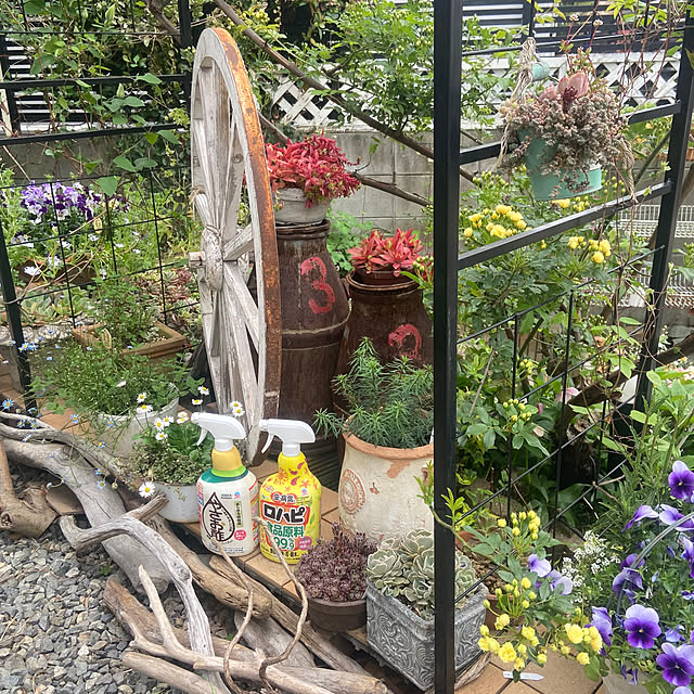 na-chanさんの部屋