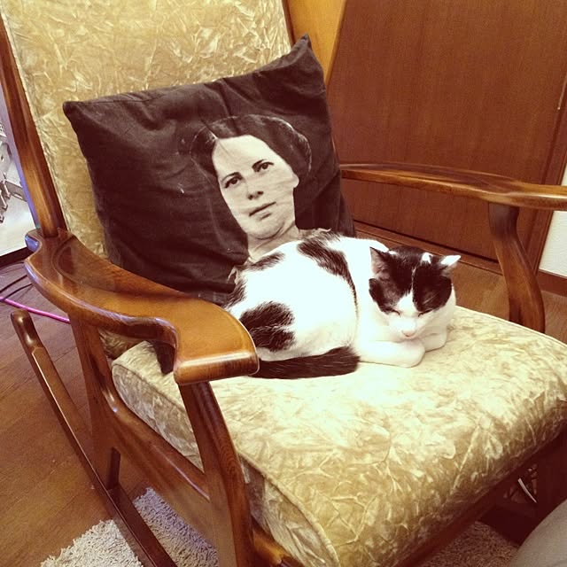 shishaさんの実例写真