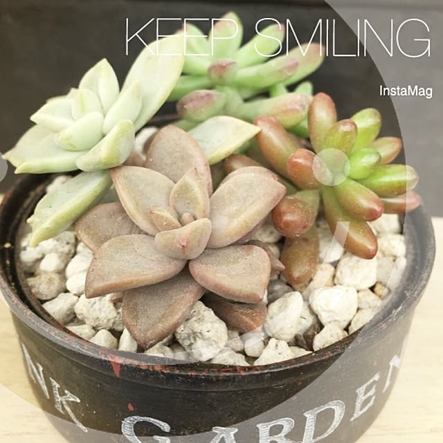 Good.smileさんの実例写真