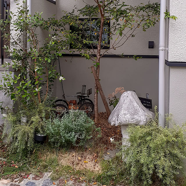 hinatoaさんの実例写真
