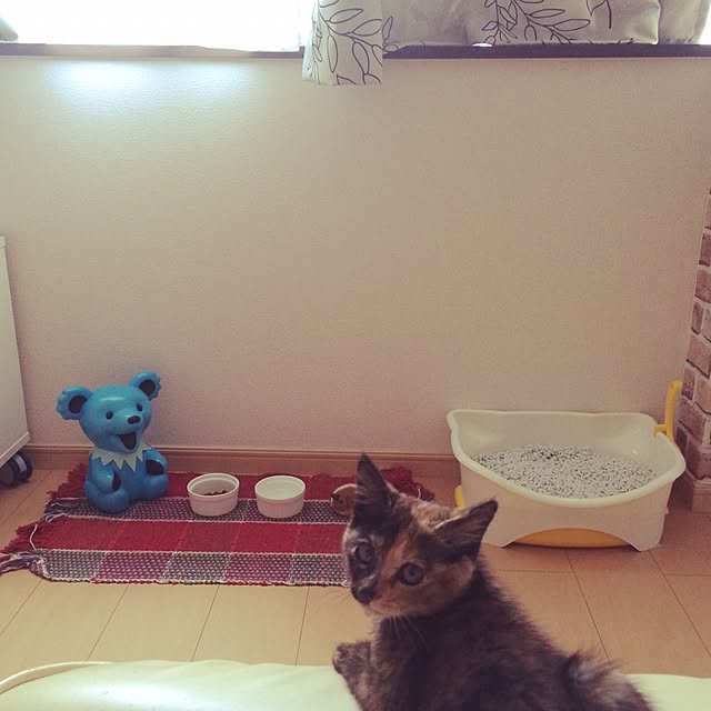 nmeeeさんの実例写真