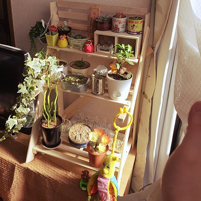mamaさんの実例写真