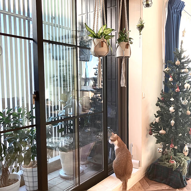 mako2yaさんの実例写真