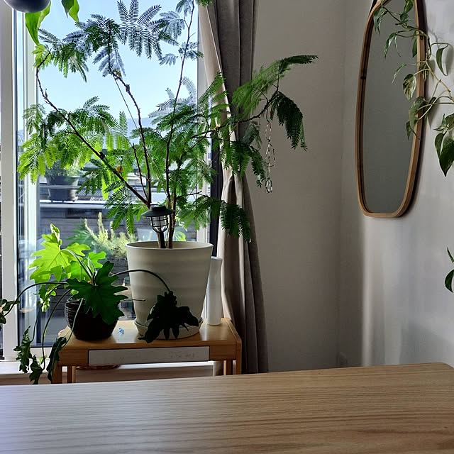 jamjamさんの実例写真