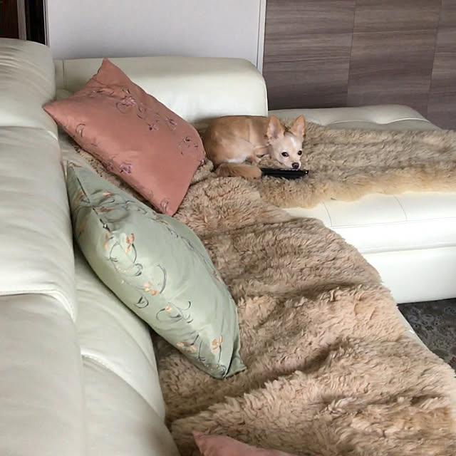 yuukoさんの実例写真