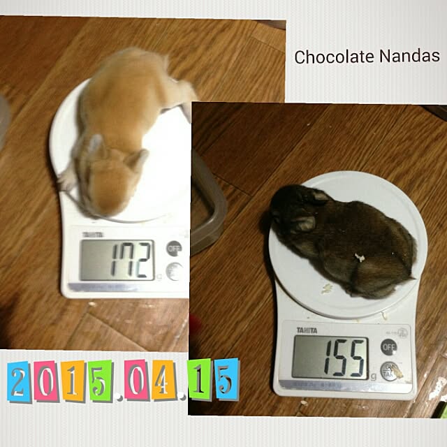 ChocolateNandasさんの実例写真