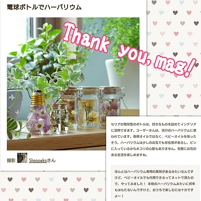 Shooowkoさんの実例写真