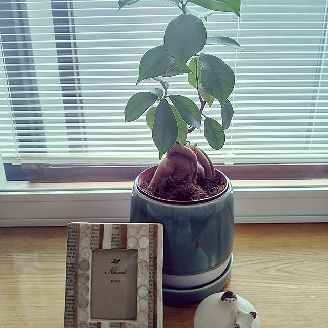 aiさんの部屋