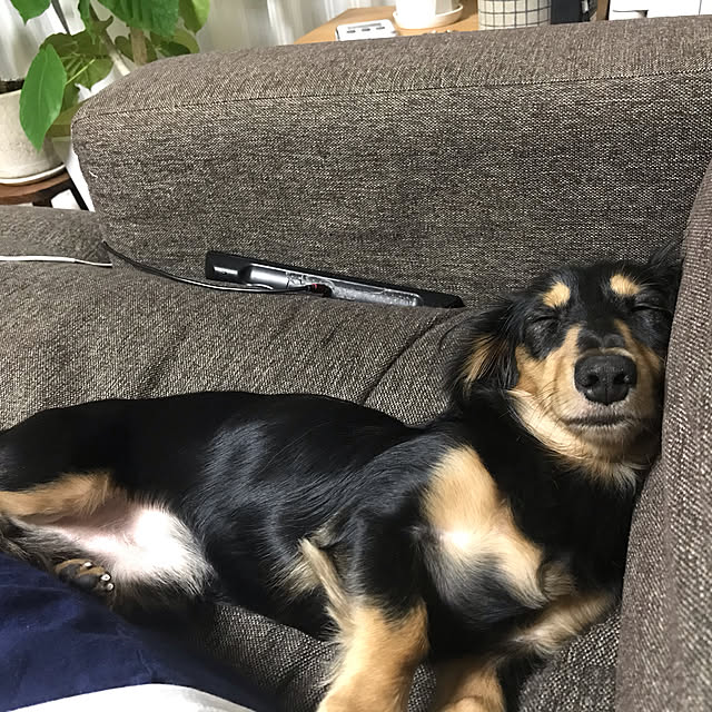 yukoさんの実例写真