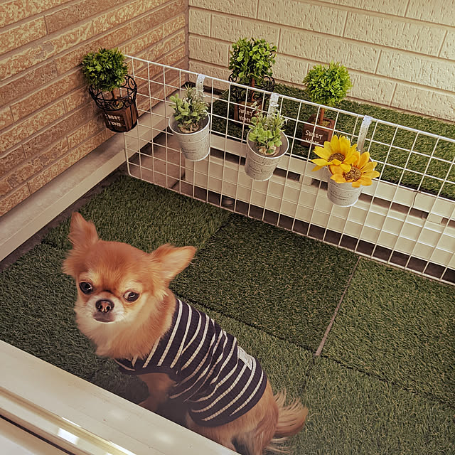 hikoさんの実例写真
