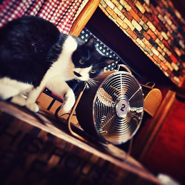heeさんの実例写真
