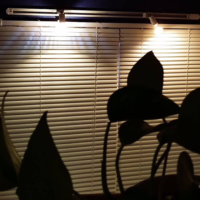 cafechanさんの実例写真