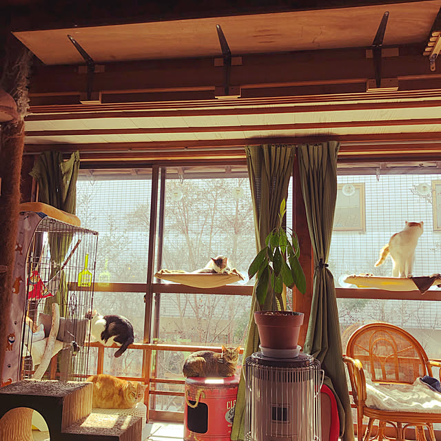 Oreoさんの実例写真