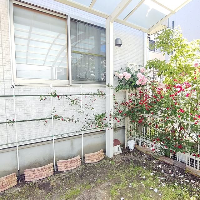 Bienvenueさんの部屋