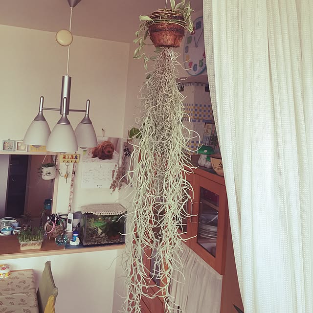 arinkoさんの実例写真