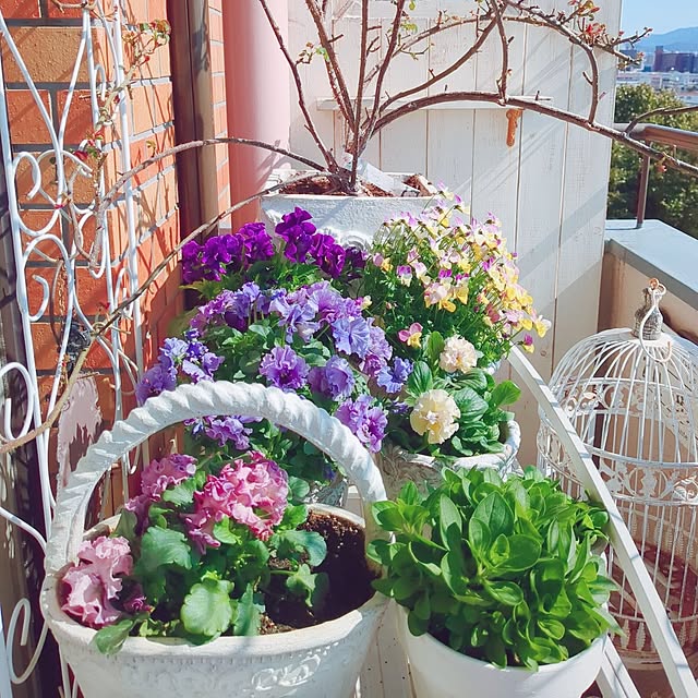 twinkle-butterfly38さんの部屋