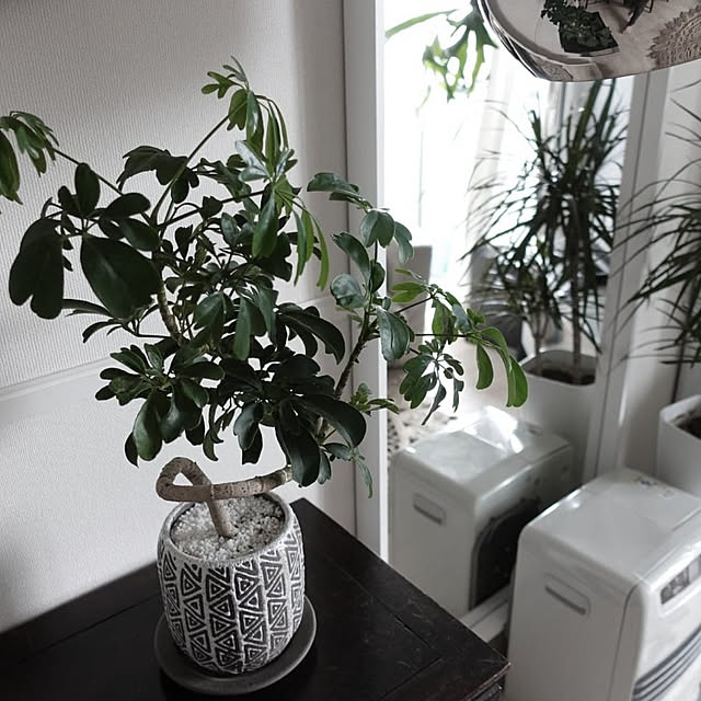 coco.Apartmanさんの実例写真
