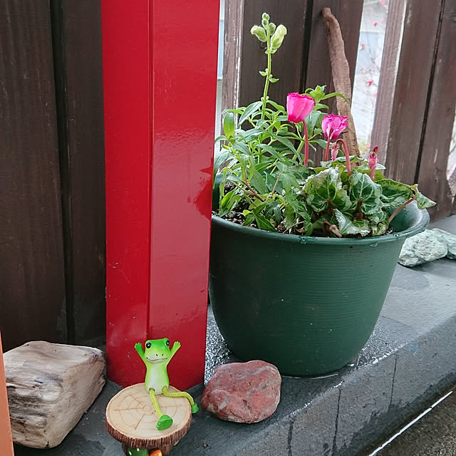 実例写真