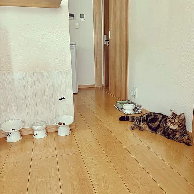 chiiさんの部屋
