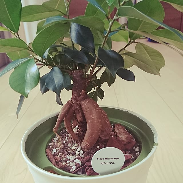 ranai6さんの実例写真