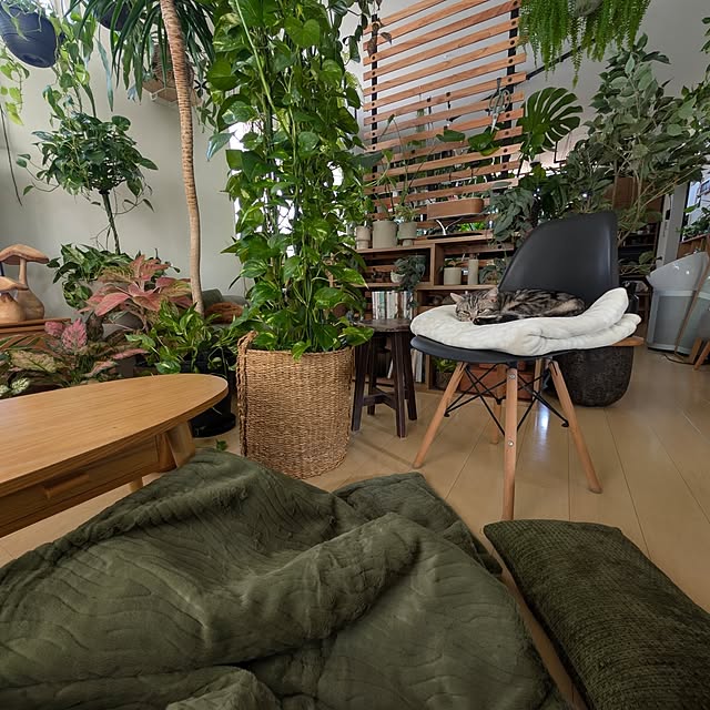 ayamameさんの実例写真