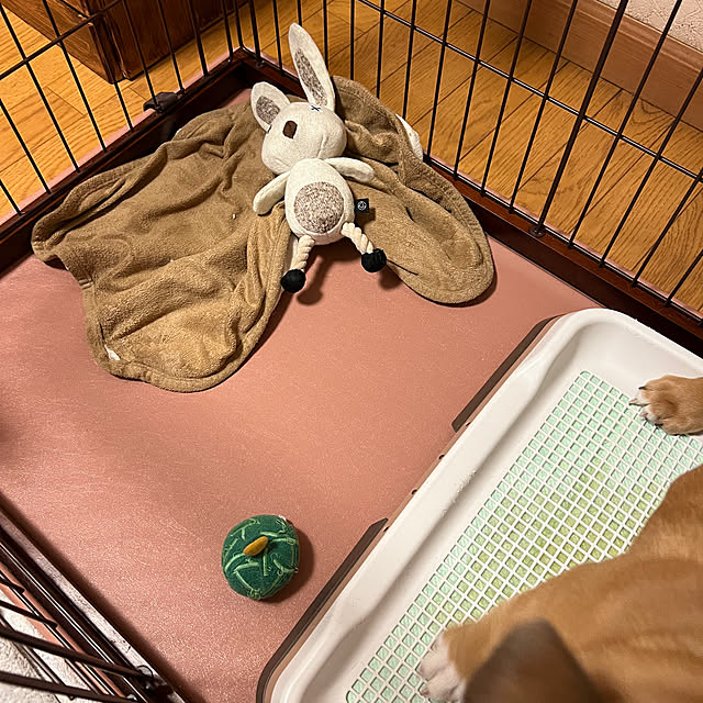 chi_gogaさんの部屋