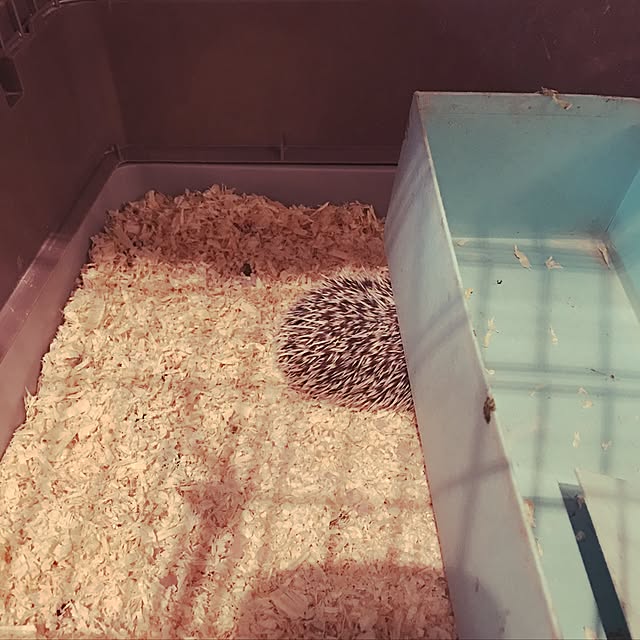 Tamakoさんの実例写真