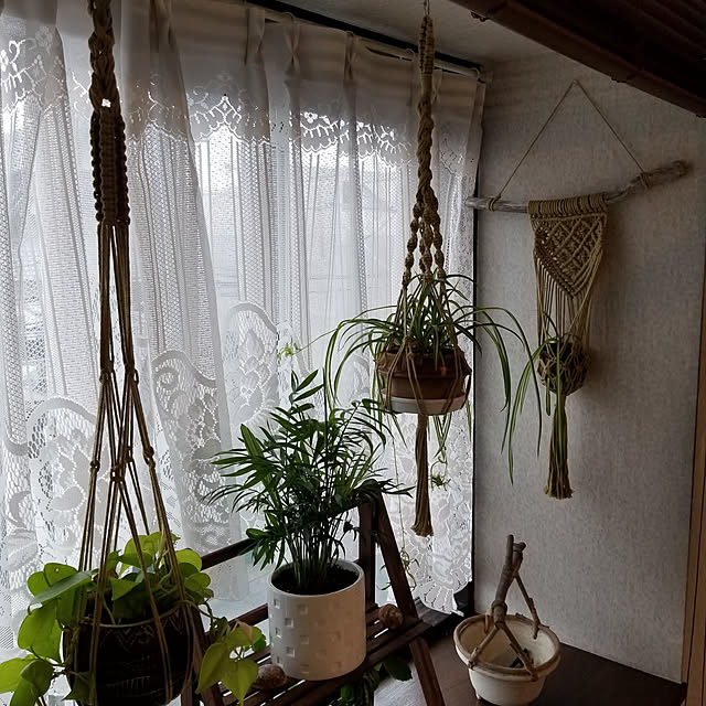 midoriさんの実例写真