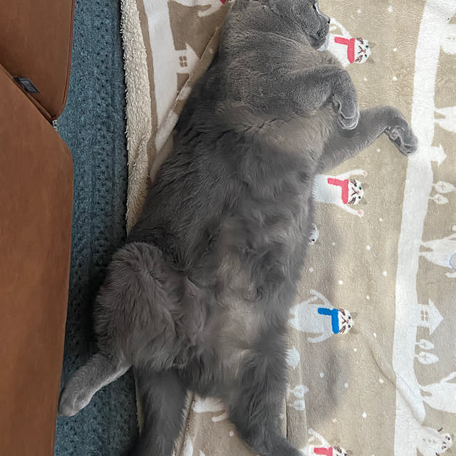 emabokさんの部屋