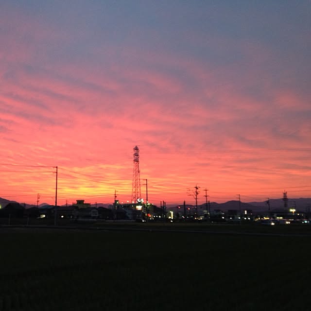 utatanさんの実例写真