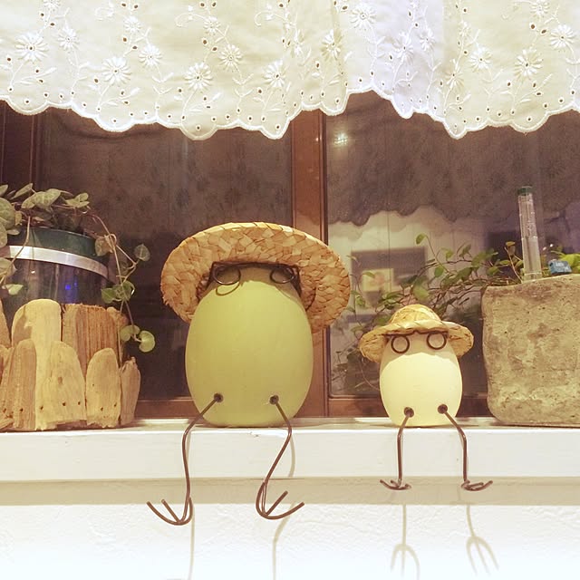実例写真
