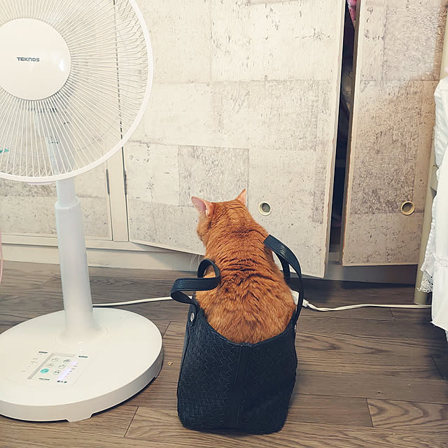 asuminさんの実例写真