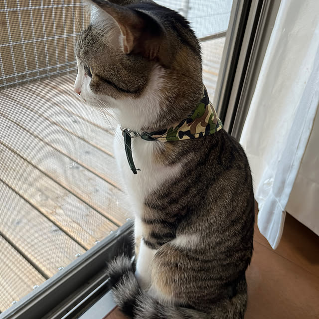 nacchi4さんの部屋
